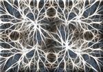 Los nanotubos de carbono pueden restaurar conexiones neuronales