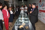 Llegan cerebros humanos al Museo de la Ciudad de Cuernavaca