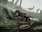 Los mamíferos cambiaron a la vida diurna tras la extinción de los dinosaurios