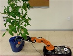 Realizan pruebas con robots móviles para cosechar tomates