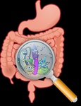 Cinvestav diseña biomarcador útil en diarreas