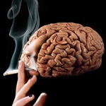 ¿Puede la nicotina prevenir el envejecimiento del cerebro?