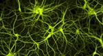 Nanodispositivos informáticos que imitan sinapsis de células nerviosas